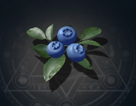 Blueberry icon